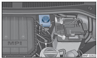 Compartiment moteur : Bouchon du réservoir de liquide de frein