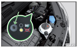 Fig. 112 Batterie du véhicule : indicateur de niveau de l'électrolyte