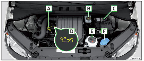 Fig. 107 Schéma du principe : Compartiment moteur