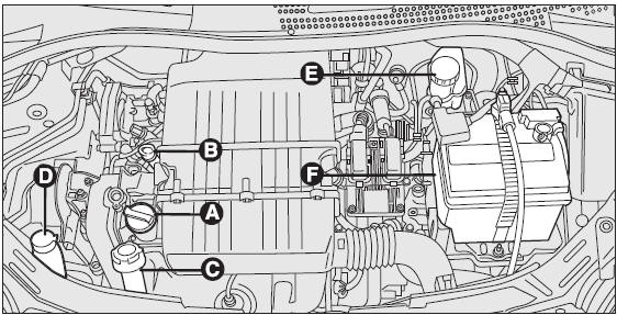 Versions 1.3L duratorq